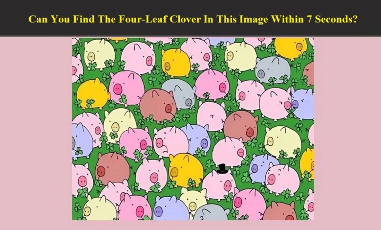 Find Four-leaf Clover
