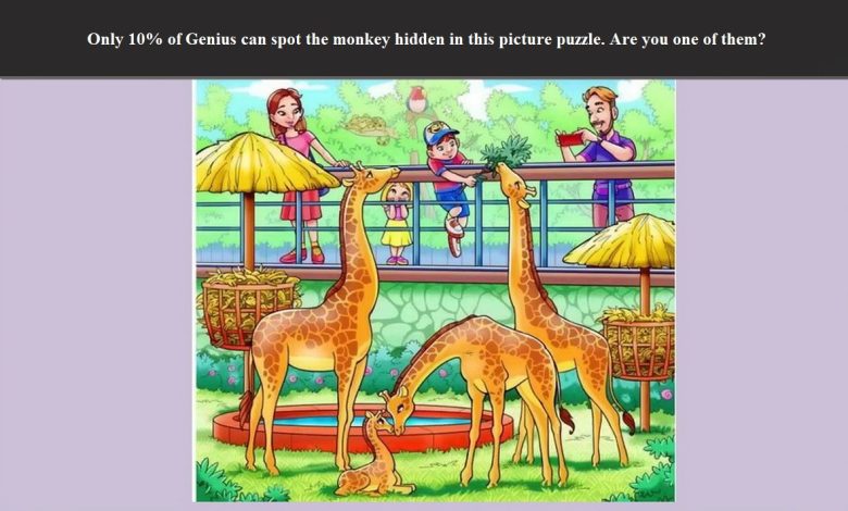 monkey hidden in this picture