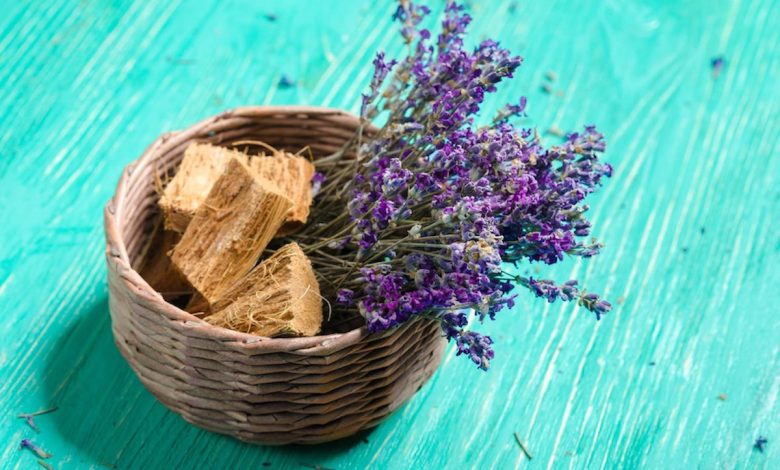 Best herbs for good health