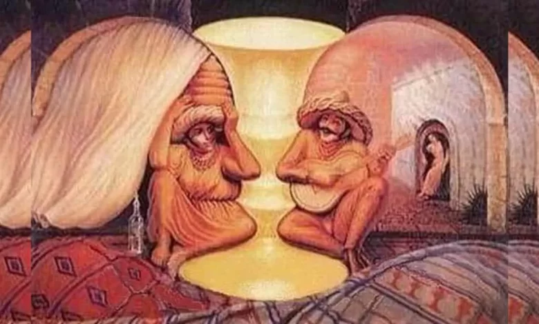 Faces Optical Illusion