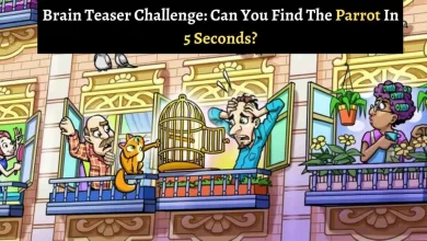 Brain Teaser Challenge