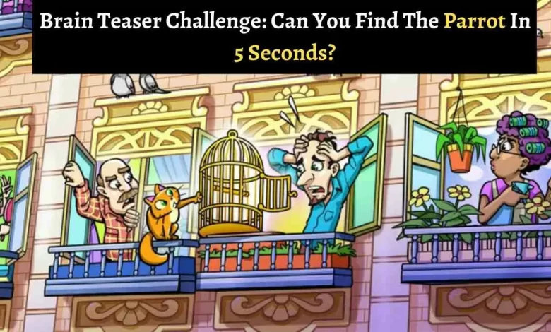 Brain Teaser Challenge