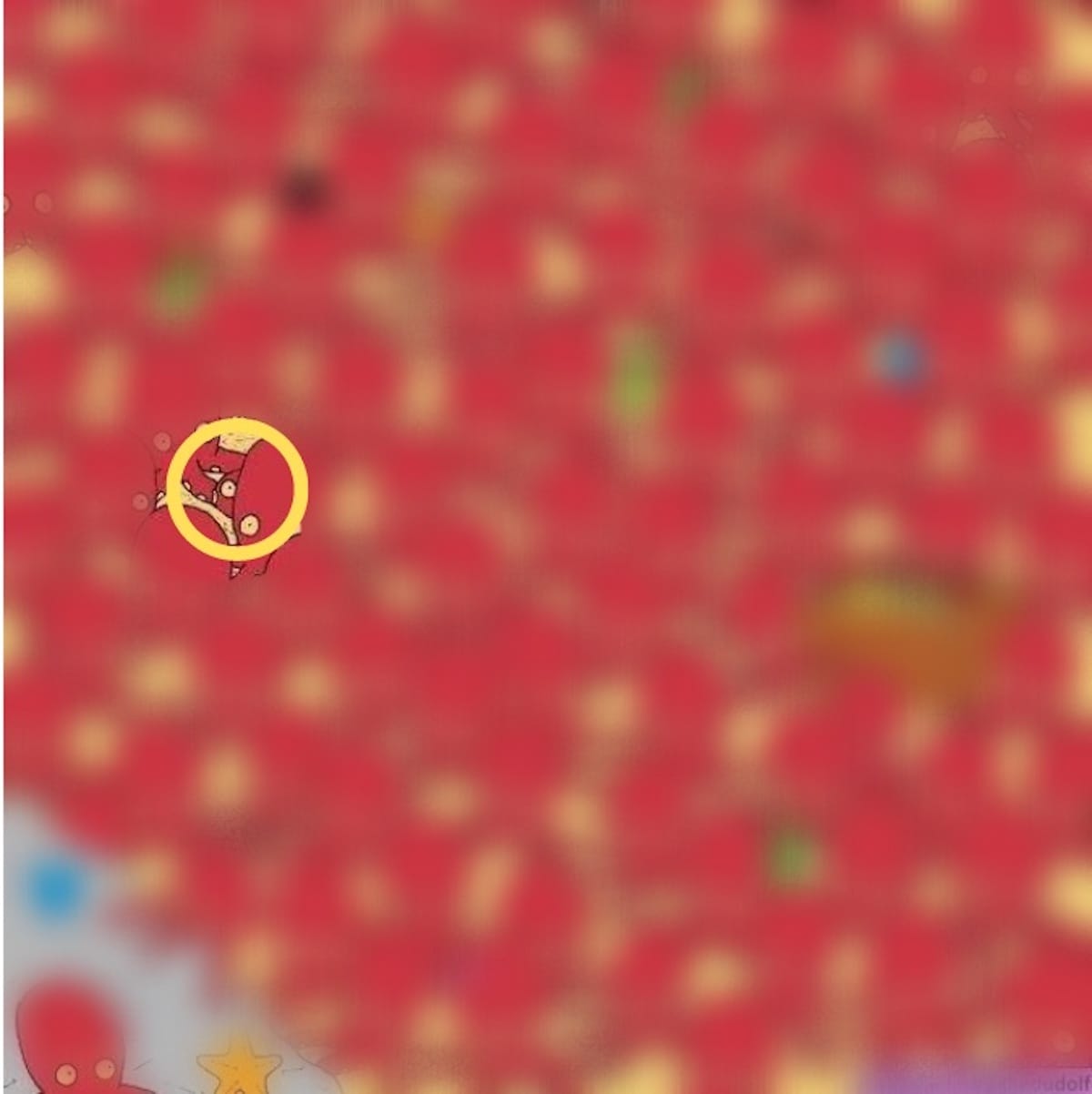 Brain Teaser Hiding Fish You Are In Top 3 If You Can Find The Hiding