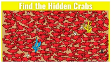 Brain Teaser Hidden Crabs
