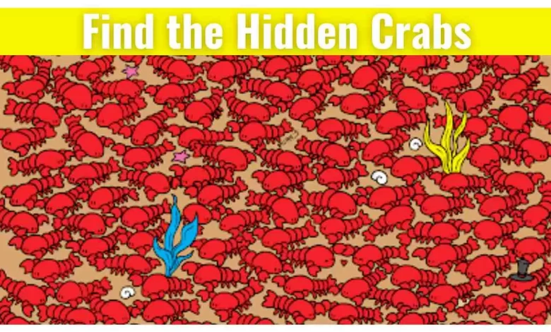 Brain Teaser Hidden Crabs