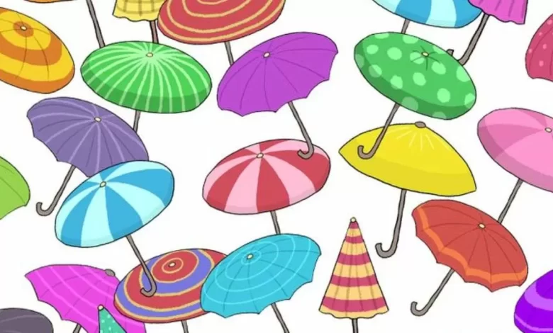 Brain Teaser Identical Umbrellas