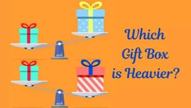 Brain Teaser Gift Box