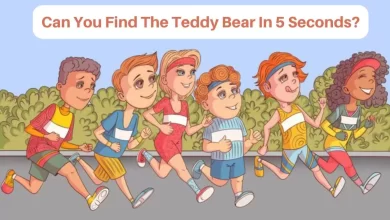 Brain Teaser Teddy Bear
