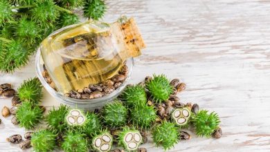 Uses And Benefits of Castor Oil