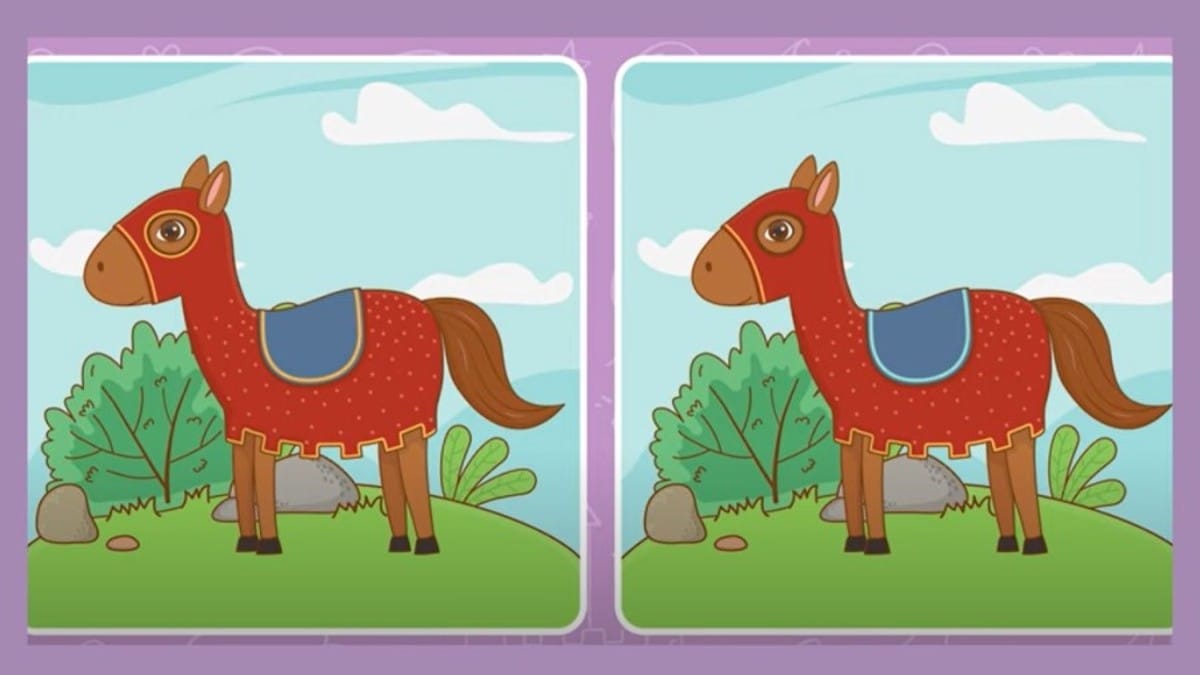Picture Puzzle Spot The Differences Can You Spot 5 Differences Between Picture Puzzle Spot The Differences Can You Spot 5 Differences Between
