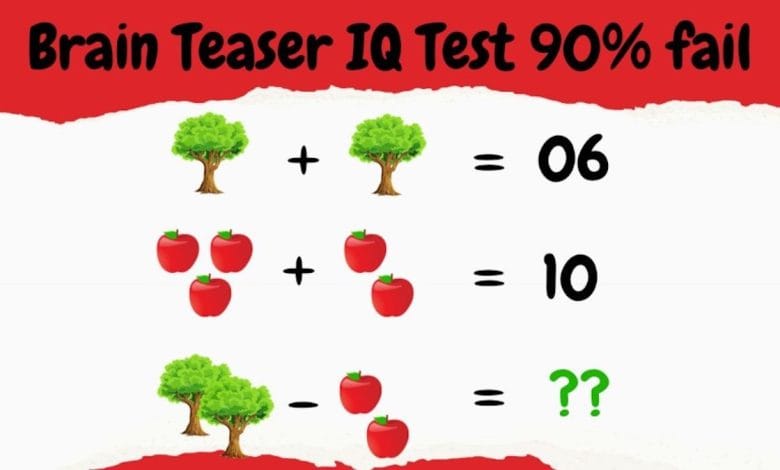 Brain Teaser Puzzle