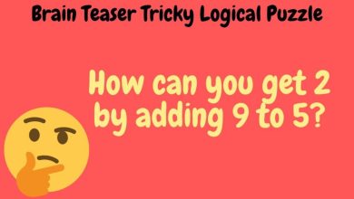 Brain Teaser Tricky Logical Puzzle