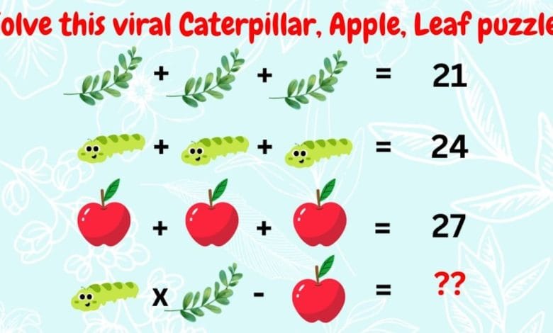 Leaf puzzle Brain Teaser