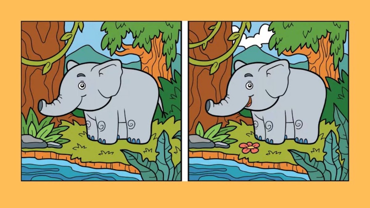 Brain Teaser Spot the 8 Difference