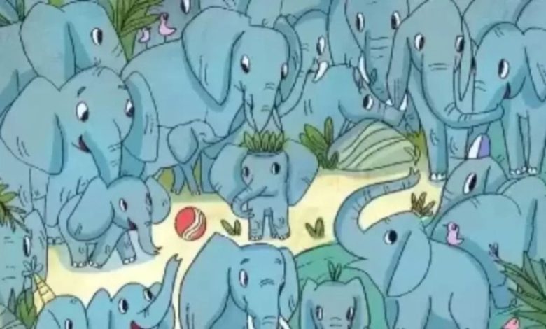 Hidden Rhino Among The Elephants