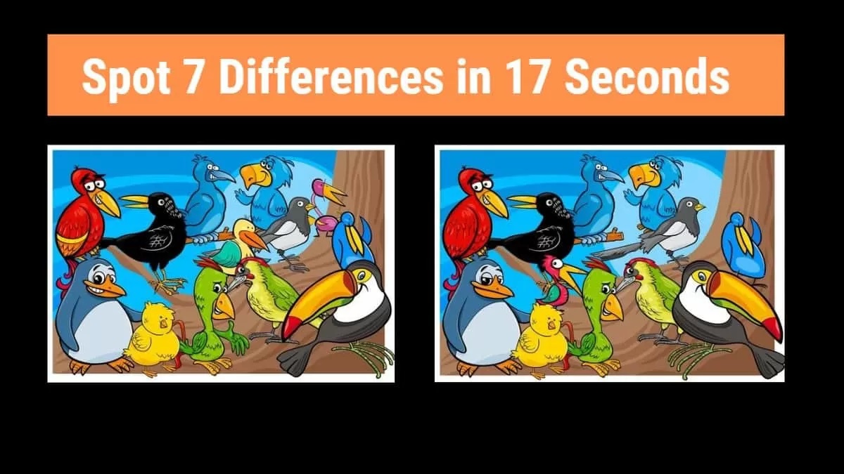 Differences Between Two Images
