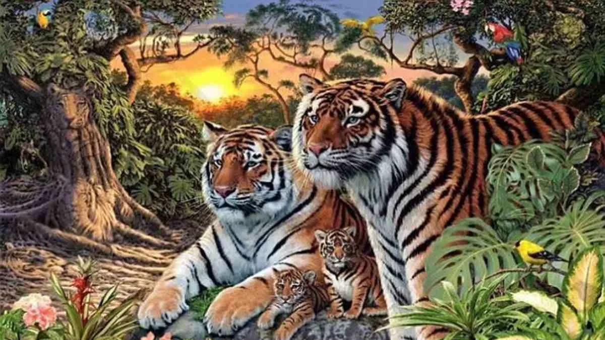 Tigers Hidden In The Forest Picture