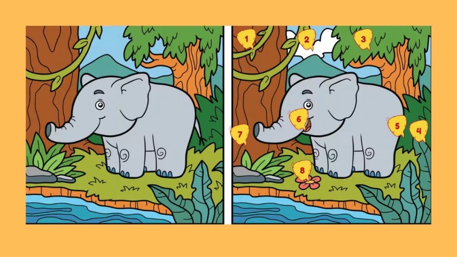 Brain Teaser Spot the 8 Difference