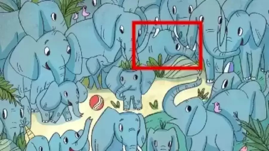Hidden Rhino Among The Elephants