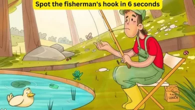  Fisherman’s Lost Hook