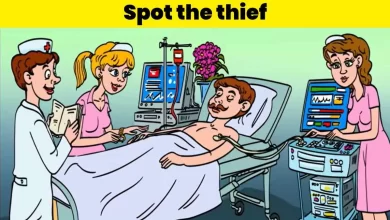 Find The Thief