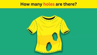 Holes Are In The T-shirt