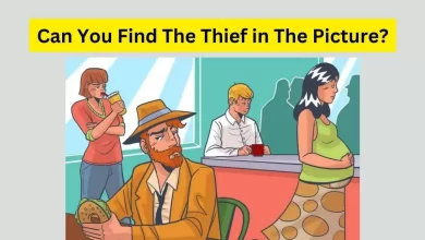 Can you find the thief