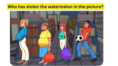 who stole the watermelon