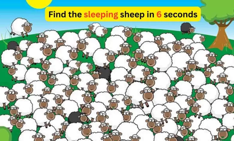 Spot The Sleeping Sheep