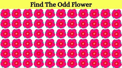 Optical Illusion Find The Odd Flowe