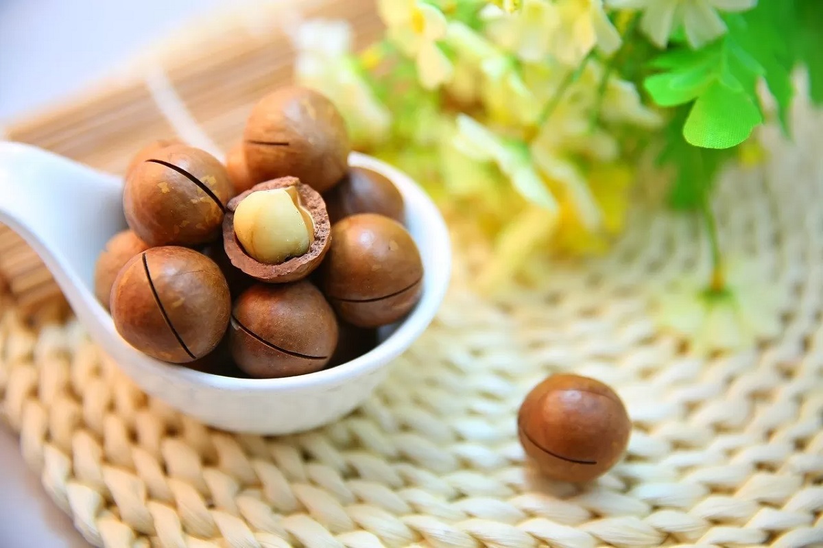 macadamia-nuts-