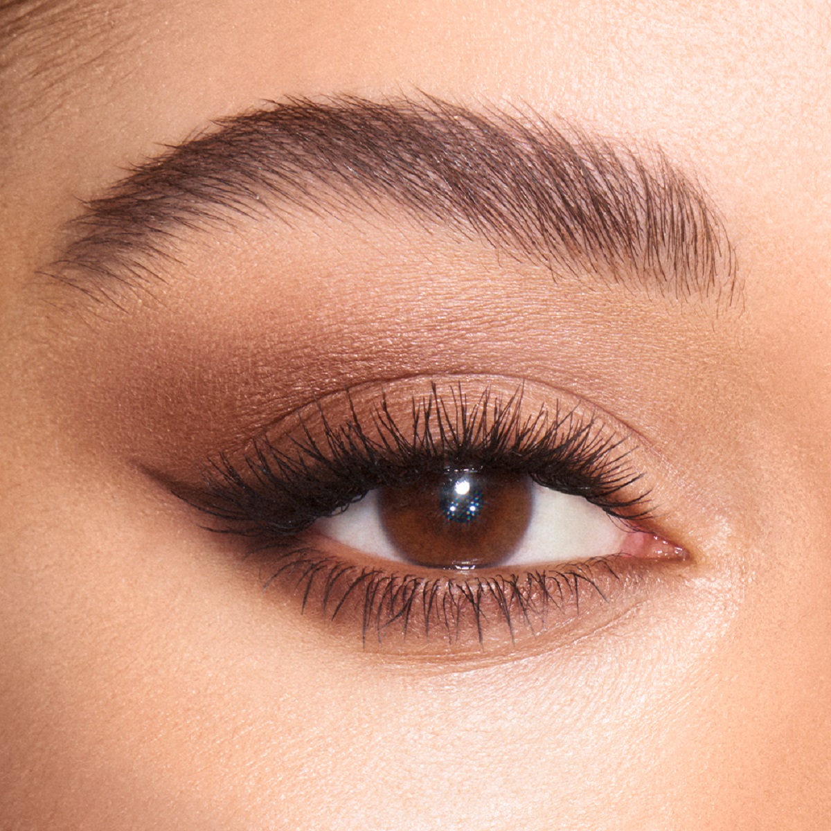 Shimmer Nude Shadow For Brown Eyes