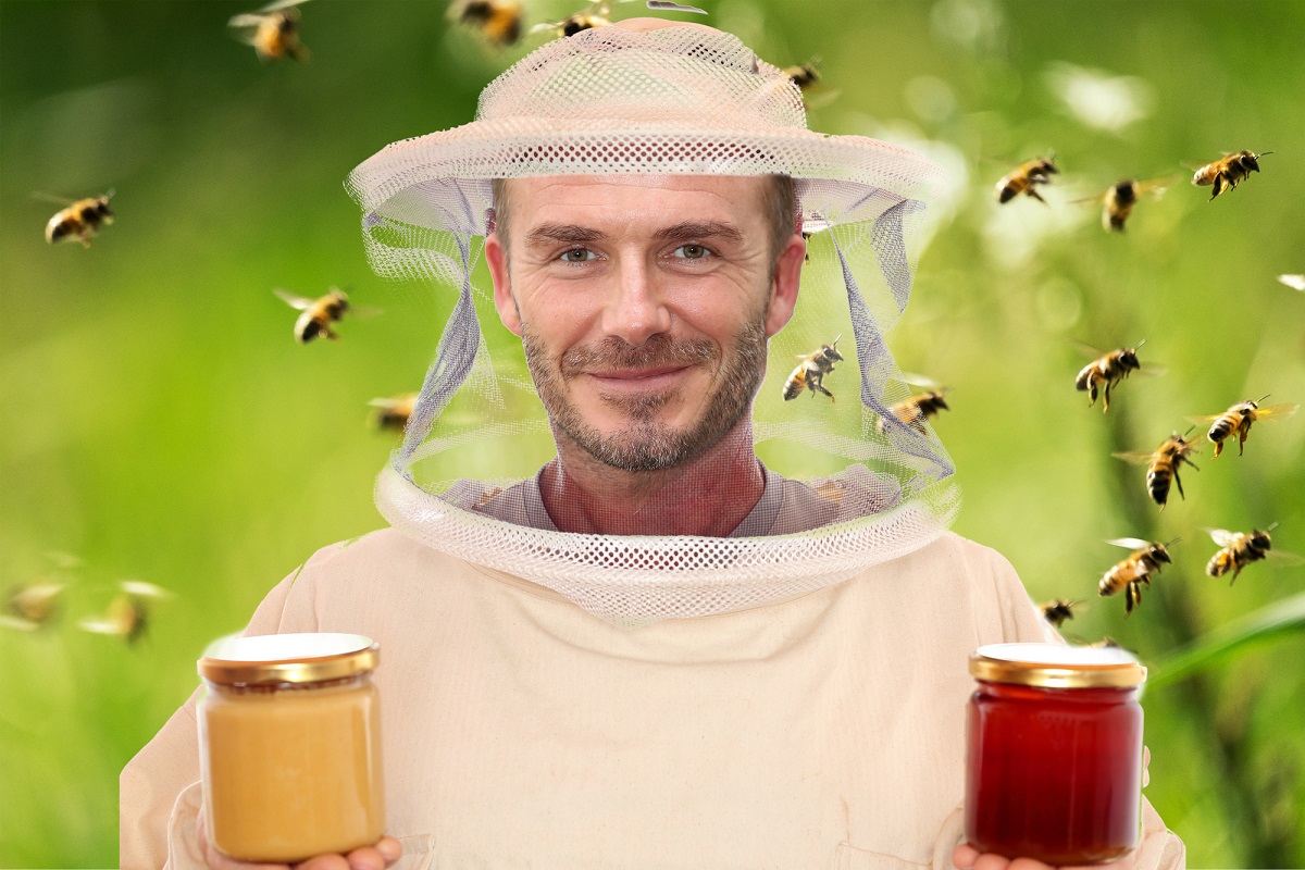 David Beckham enjoys beekeeping