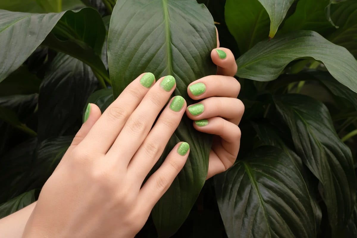 Olive and forest green