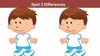 Spot The Differences Test