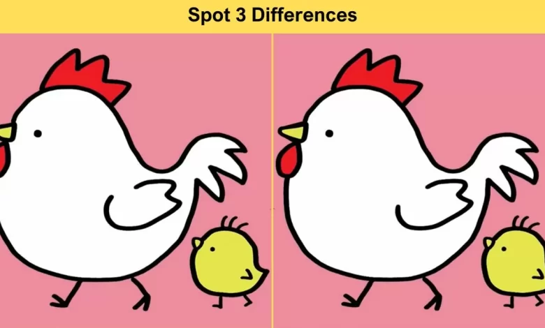 Spot Difference