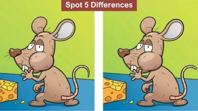 Spot The Difference In The Test