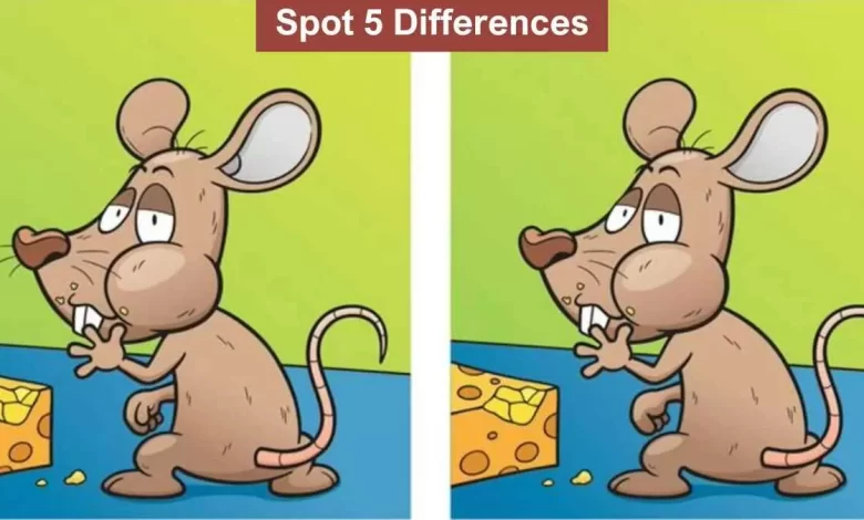 Spot The Difference In The Test