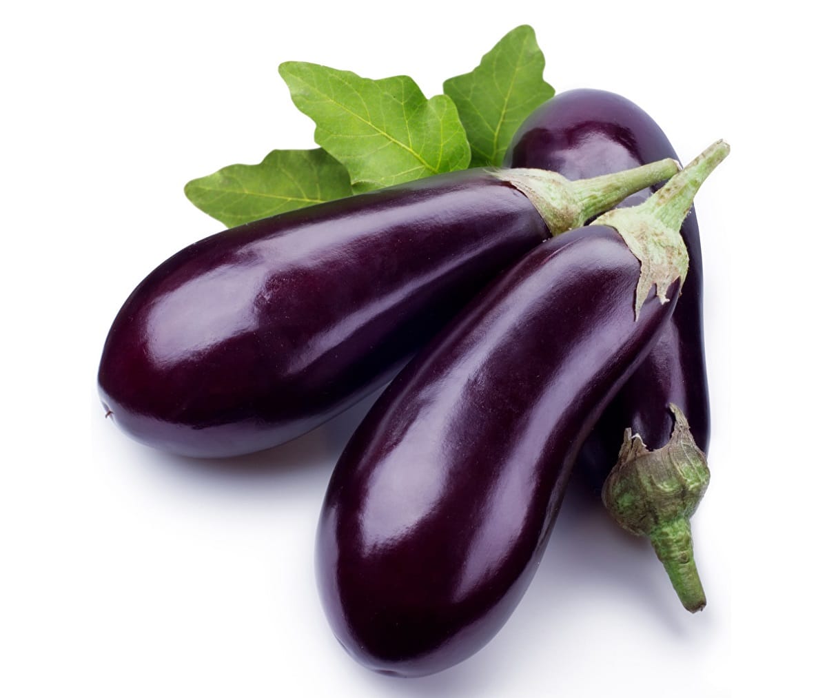 Eggplant