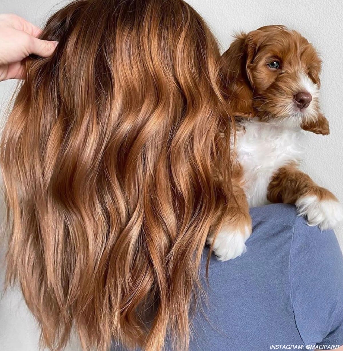 Cappuccino Balayage