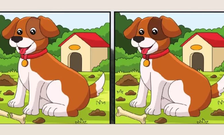 Dog Picture Puzzle