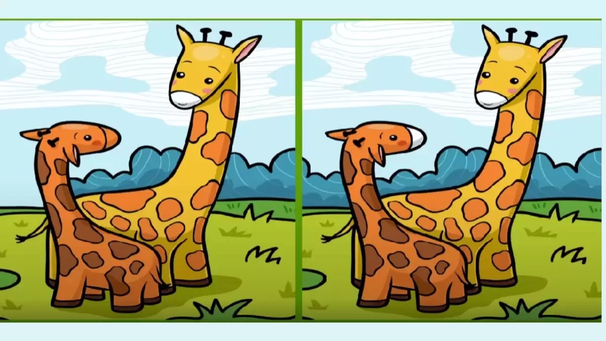 Spot The Difference Picture Puzzle Can You Spot 3 Differences In These