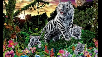  Hidden White Tigers Optical Illusion