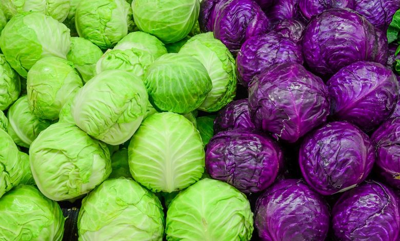 Health Benefits Of Cabbage