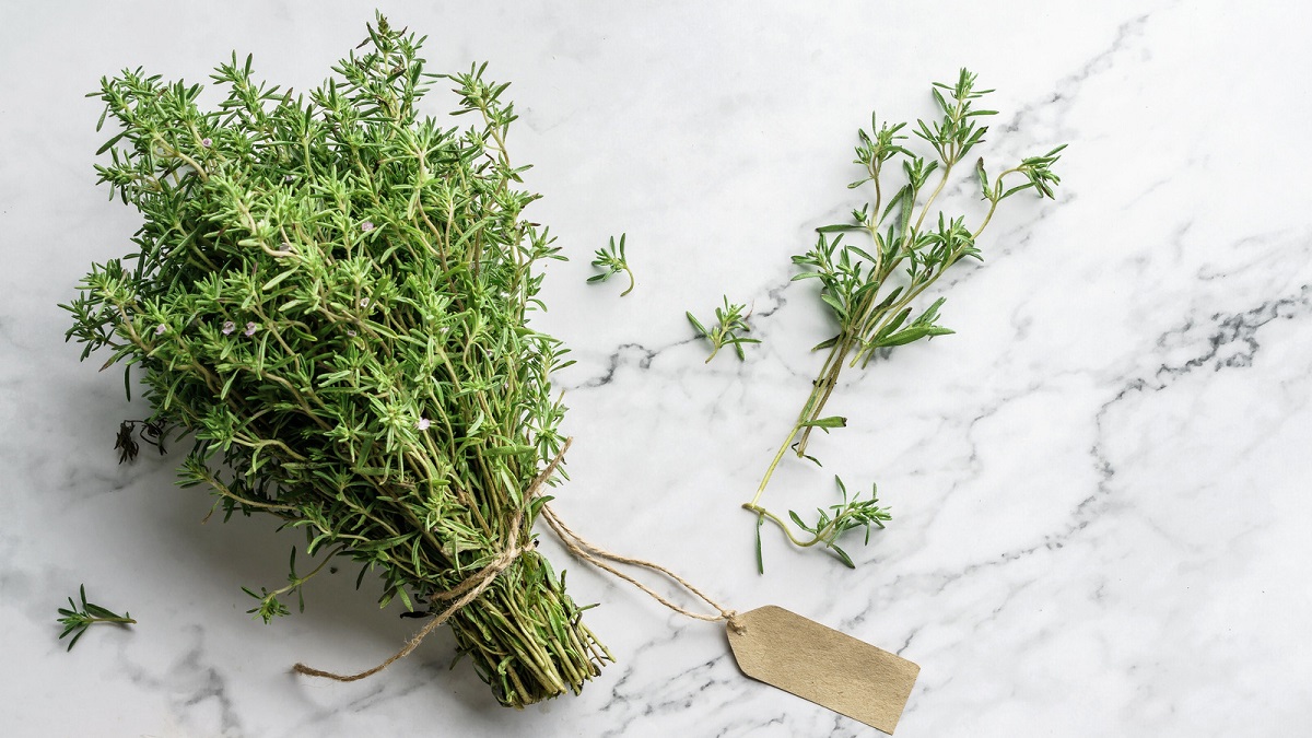 Thyme for cough