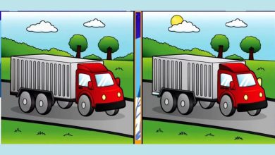 The Difference Picture Puzzle