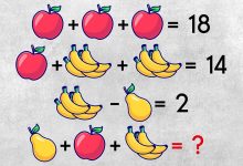 Puzzle Math Challenge