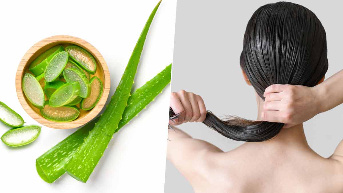 Use Aloe Vera On Your Hair And Scalp