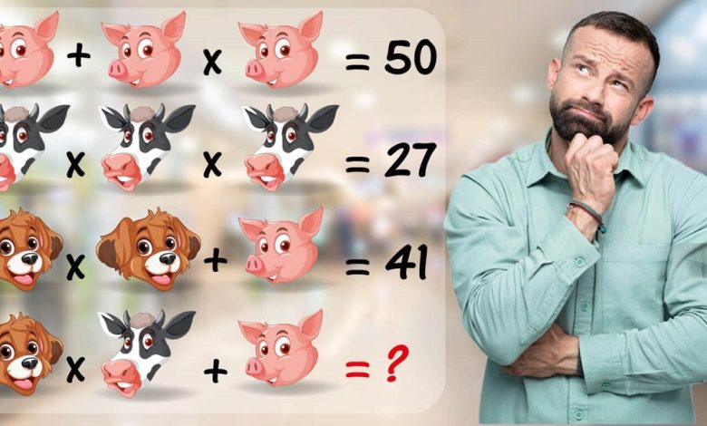 IQ Test Riddle