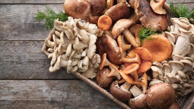 Benefits Of Mushrooms